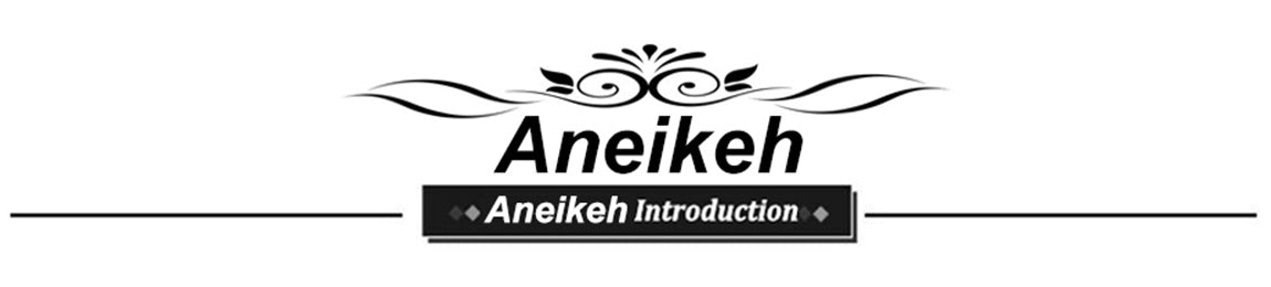 Aneikeh – Escarpins-sandales sexy en résille pour femme (été 2025) – Bout carré, talons aiguilles hauts, lacets croisés, style ajouré – Idéal pour soirées et occasions habillées